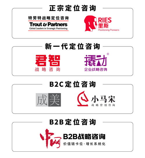 戰略咨詢與技術開發雙輪驅動 解鎖企業高效決策實戰路徑